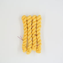 Lade das Bild in den Galerie-Viewer, Follow the Sun, Mini